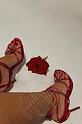 Firenze Escort Bellize 331 43 78 506 foto selfie 8