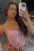 Roma Trans Escort Bruna Bambolina 353 32 40 811 foto selfie 2