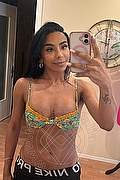 Sanremo Trans Vivy Noronha 333 18 67 209 foto selfie 1