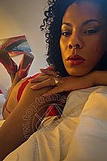  Trans Elara 351 92 89 028 foto selfie 1